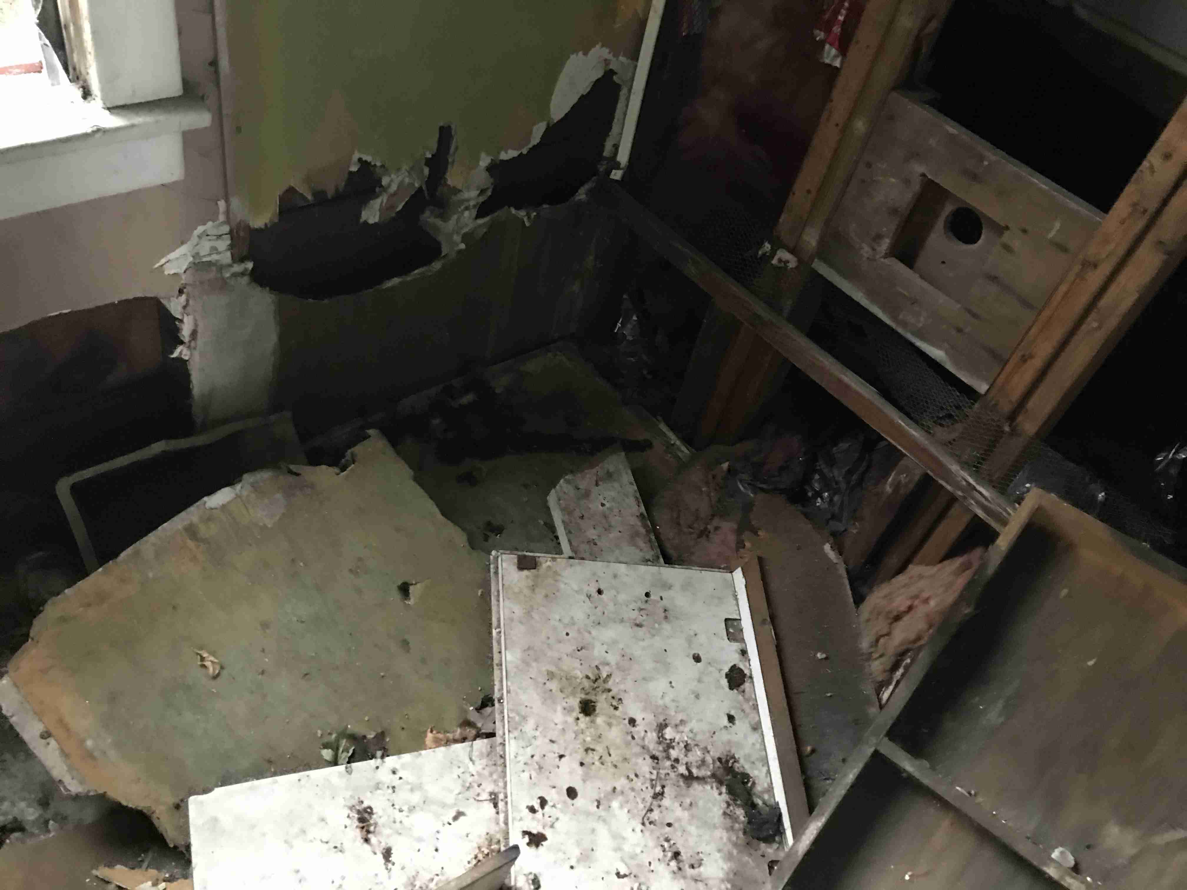 Photo Sep 10, 2 11 59 PM.jpg